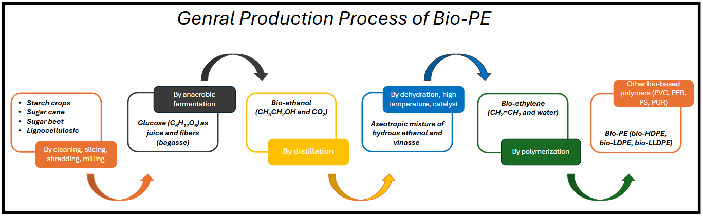 General production process of bio-polyethylene (Bio-PE)