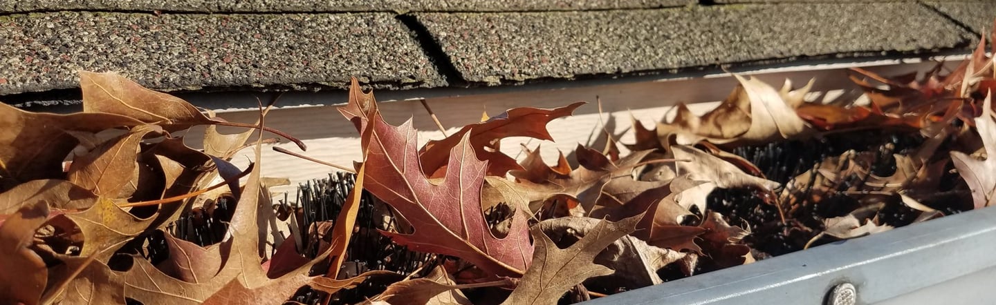 Expert gutter cleaning tips for efficient home maintenance