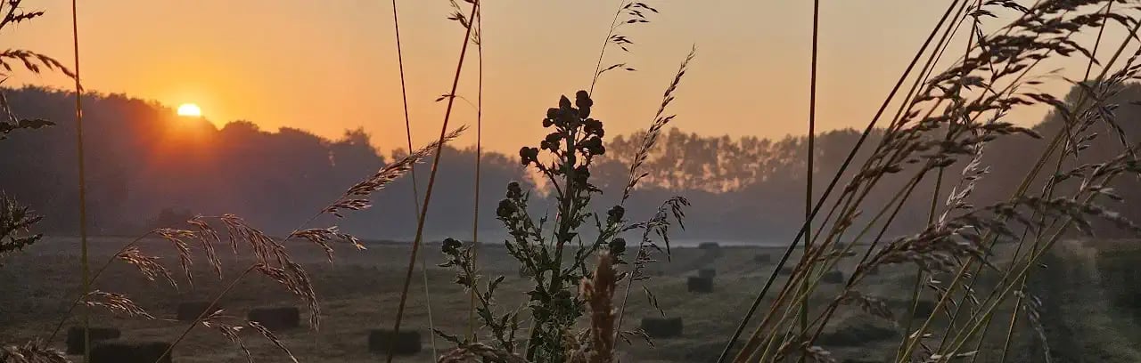 panorama bij zonsopgang