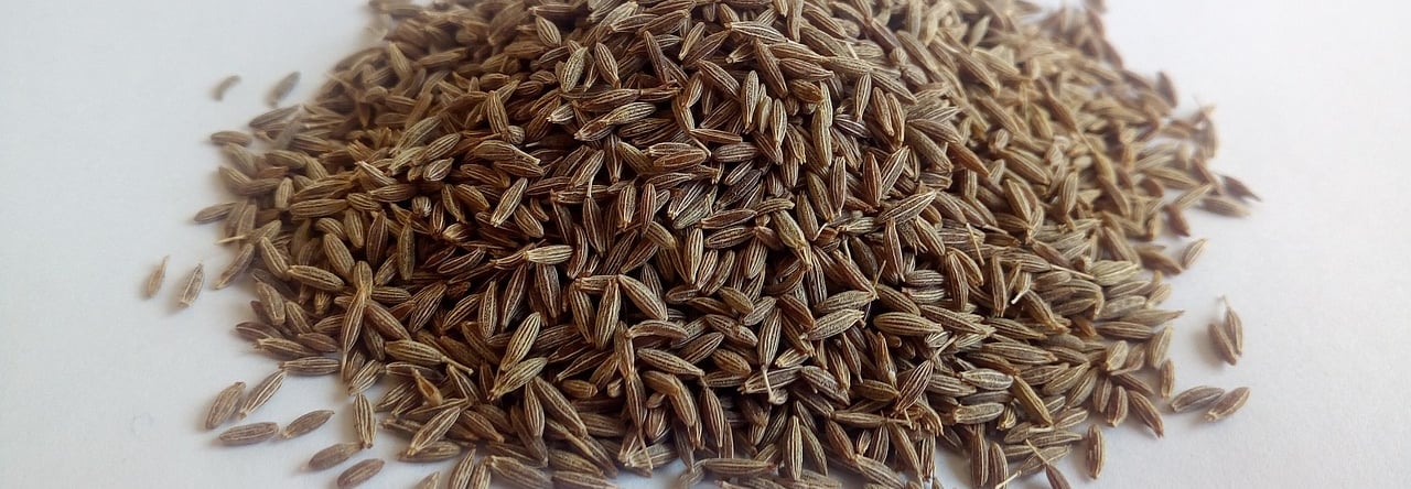 Cumin Seeds | Critiqoet
