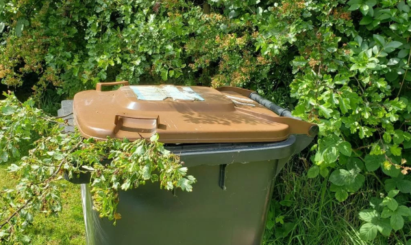 Garden waste collection in Hounslow