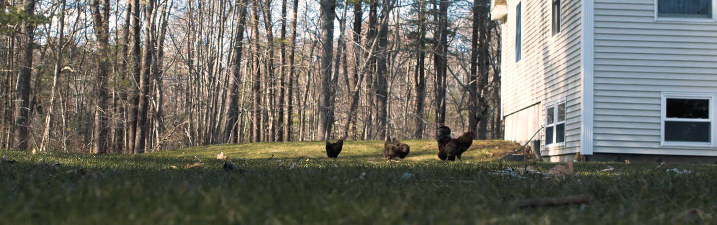 Spring Cleaning Short Film Lucas Arruda