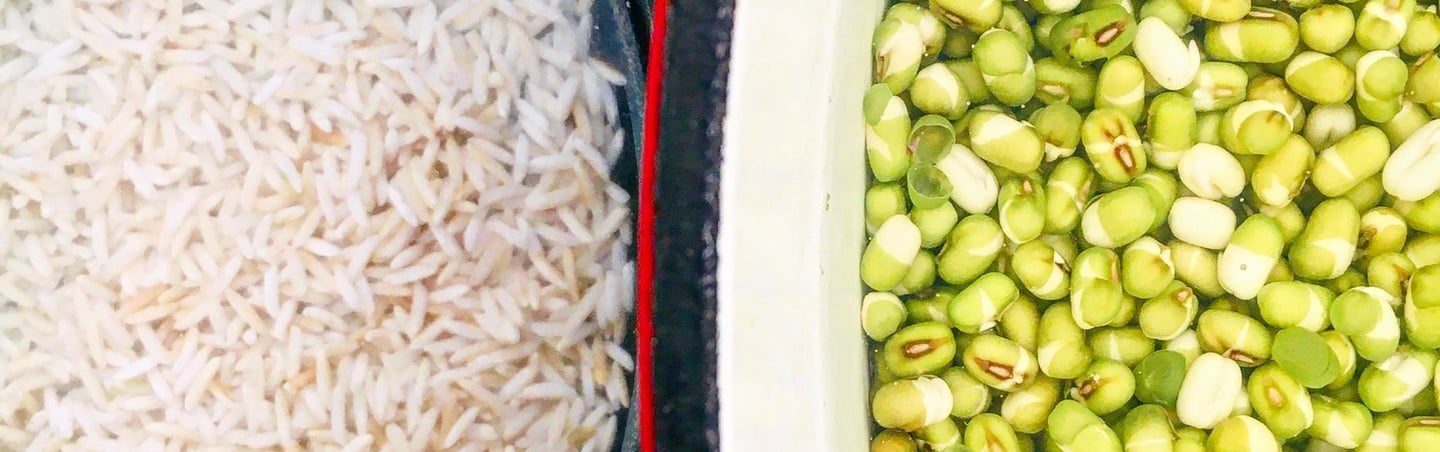 Kitcheri plat typique de l'Ayurveda à base de riz et de haricots mungo