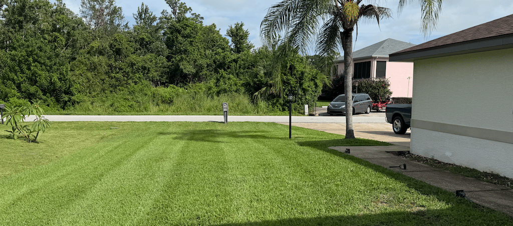 Expert landscaping and yard clean-up services in Sebring, Florida by Threefold