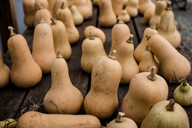 Freshly harvested organic butternut squash arranged on a rustic wooden table at a farm market.