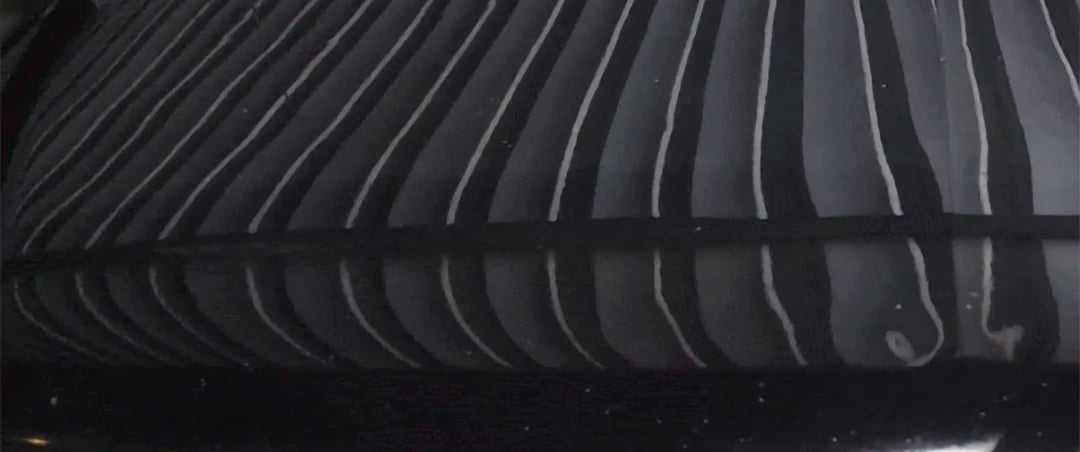black paint that has been corrected professionally near me using professionally paint correction methods