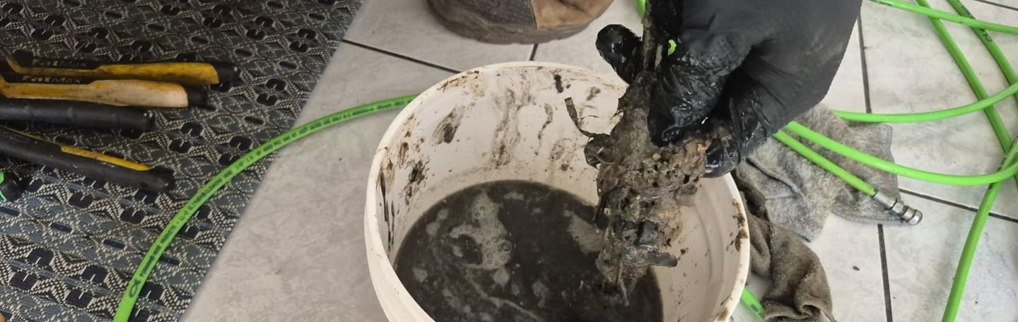 Bucket filled with black solidified grease and debris removed from clogged drain