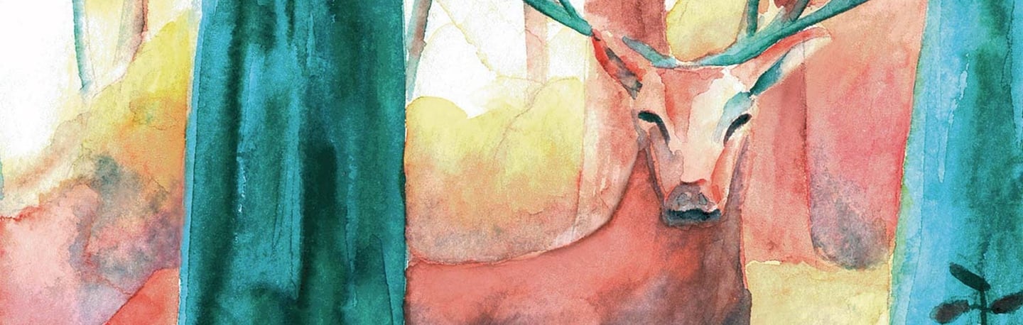 a deer in the forest