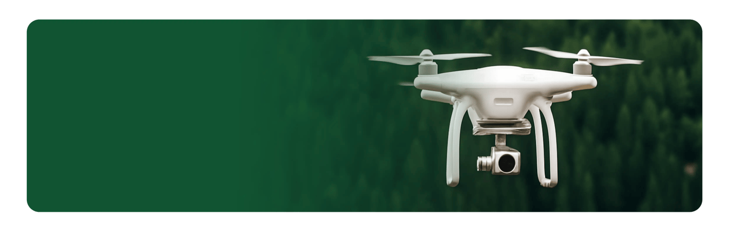 Serviços de resgate de drones em árvores Curitiba PR