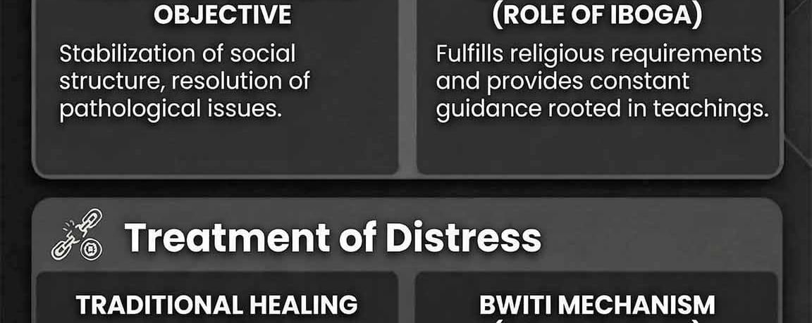 Holistic Structure of Bwiti Healing