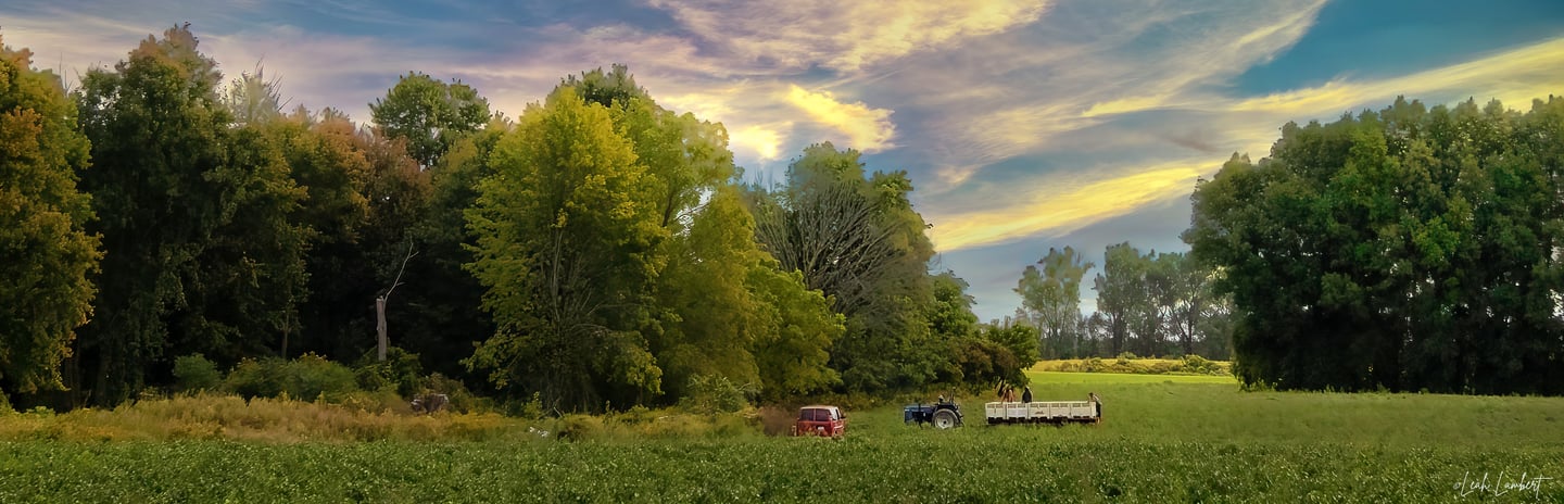 Farmers filed at Hawk Cliff.