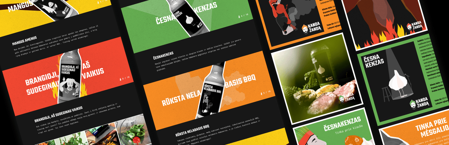 Kanda Žandą projekto mockup'as. RYZHA WEB dizainas su Hostinger Builder, socialinės medijos maketai