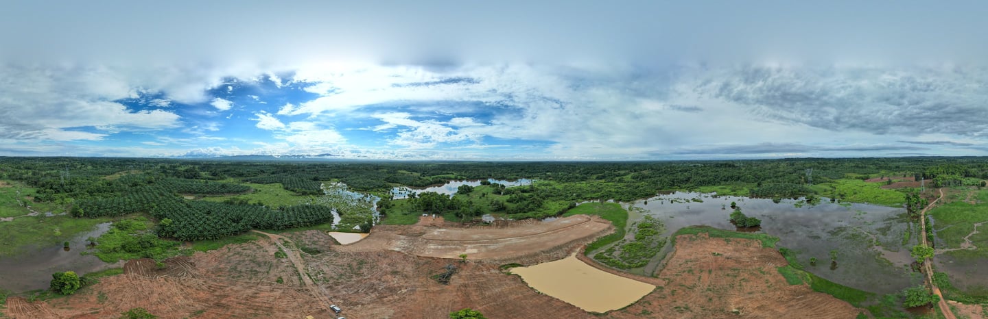 Revision de cultivo con drone