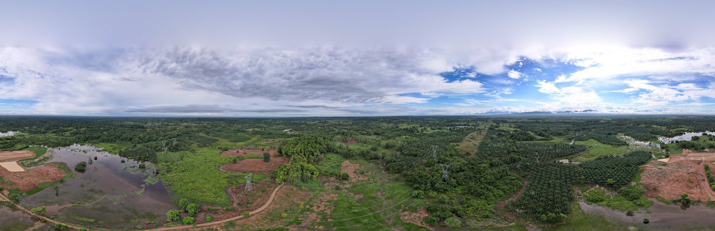 Fincas agricola y ganadera con revision de drone