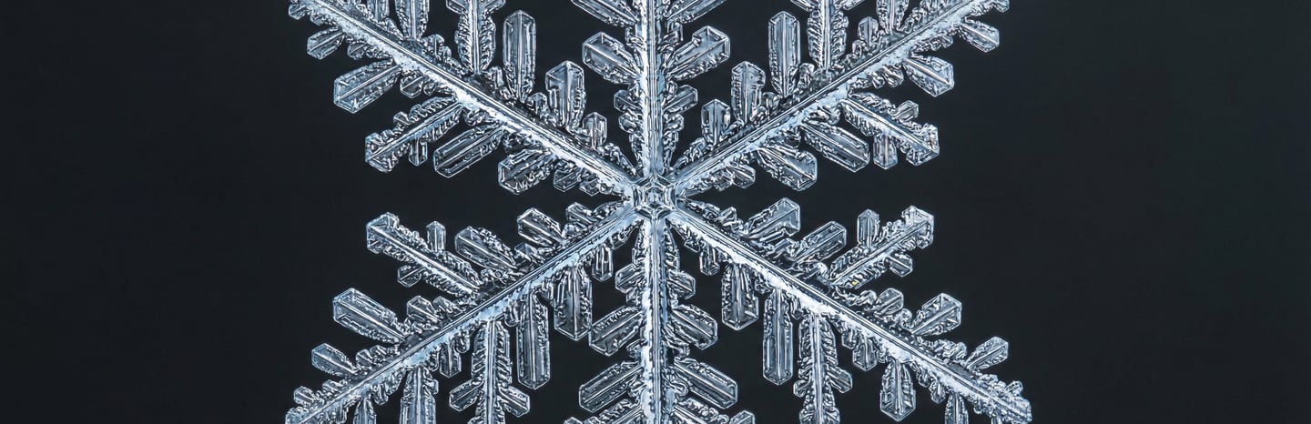 Détail au microscope d'un flocon de neige