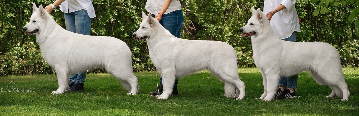 Mig iz beloy brigady Ataka Ura-Gun