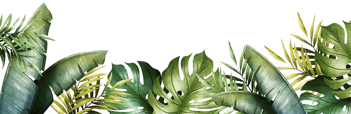 Démoustication à Théoule-sur-Mer