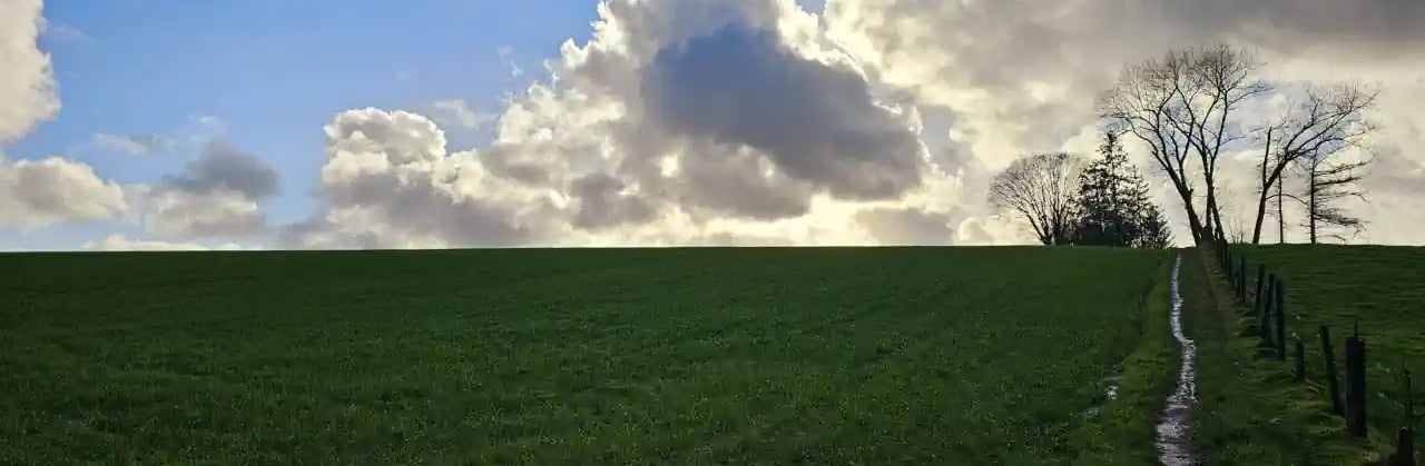 panorama-aan-Kluisbos