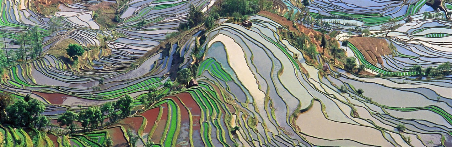Photo of Honghe Hani Rice Terraces in China