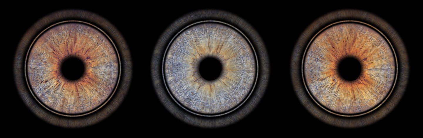 idée cadeau famille bordeaux