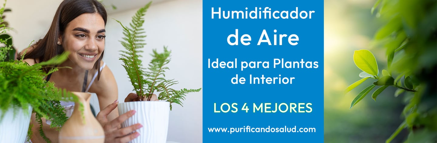 portada-humificiadores-para-interior-1