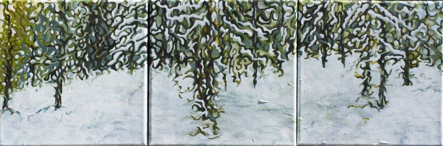 Loamzilla Trail west of Calgary