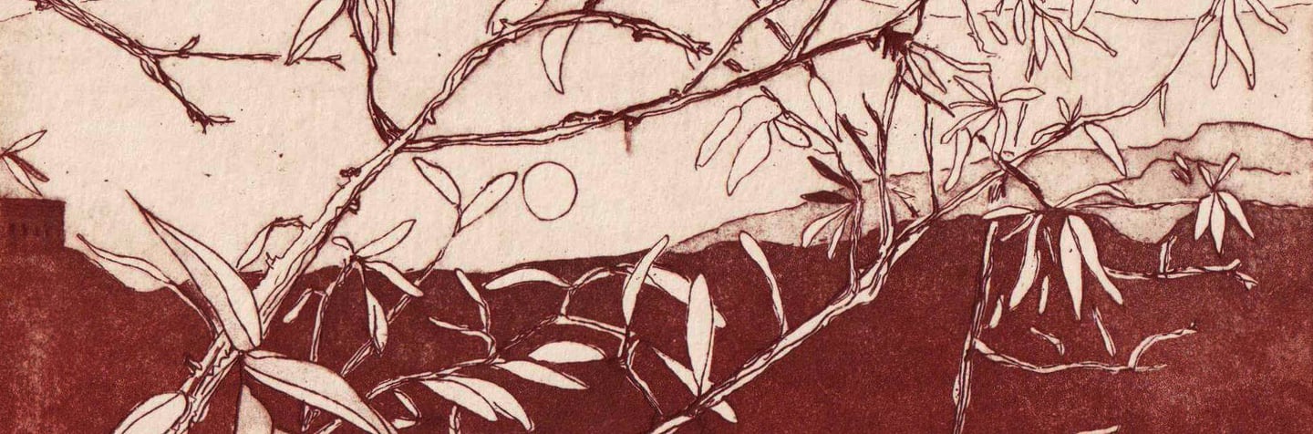 l'amadulu-gravure-eau-forte-alex-corkish