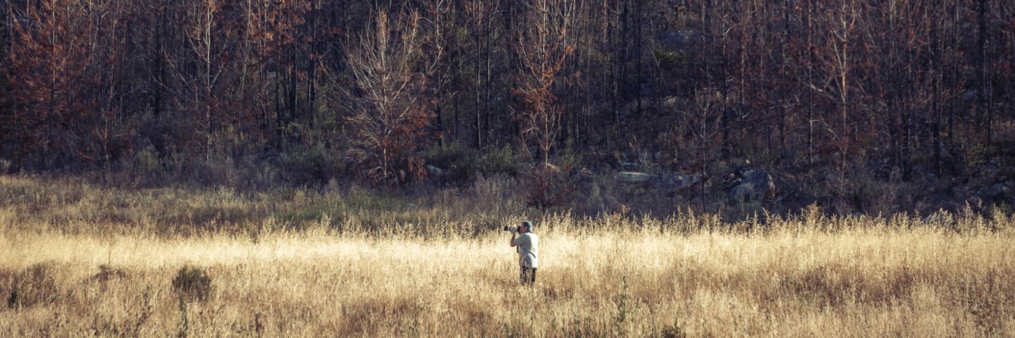 Martin Osner photographing in a golden field against a backdrop of burnt trees and mountain shadows.