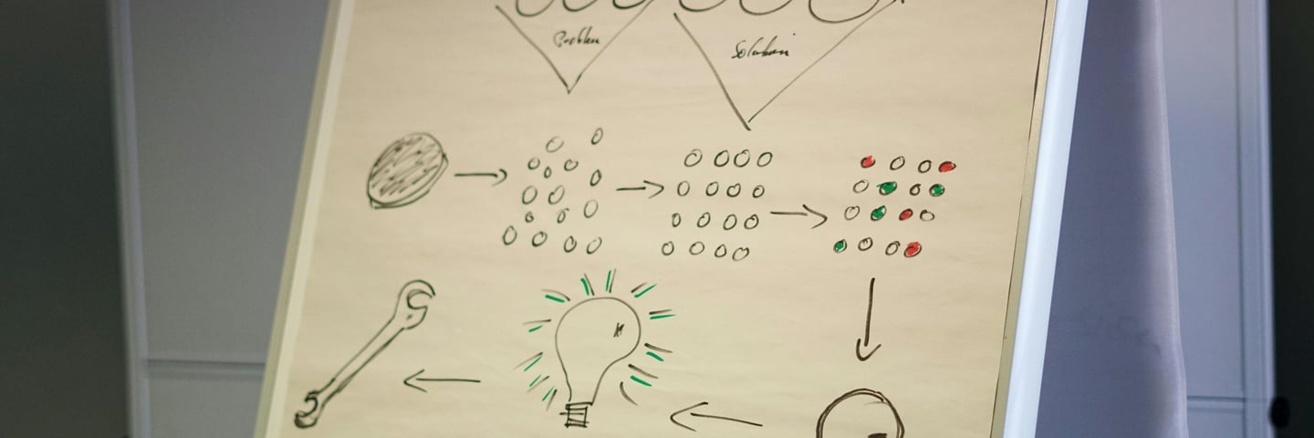 PSE-Organisation future