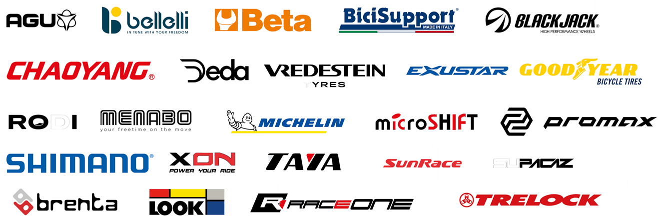 alt="Distribución de bicicletas por Alberto Valiente"