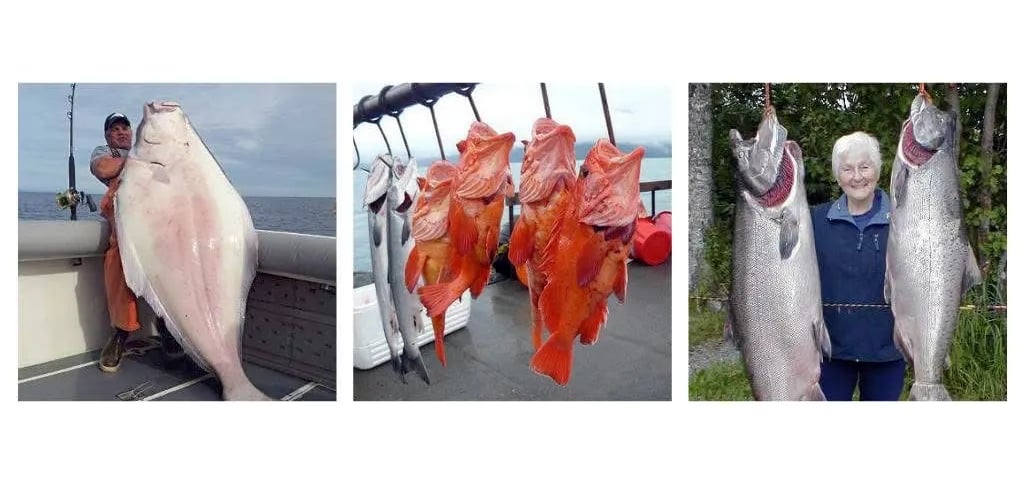 Cook Inlet Cabins Fishing