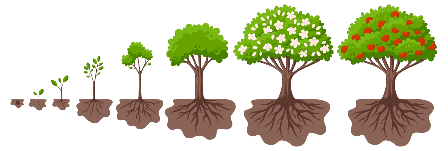 évolution changement arbre de la renaissance vers l'arbre fruitier