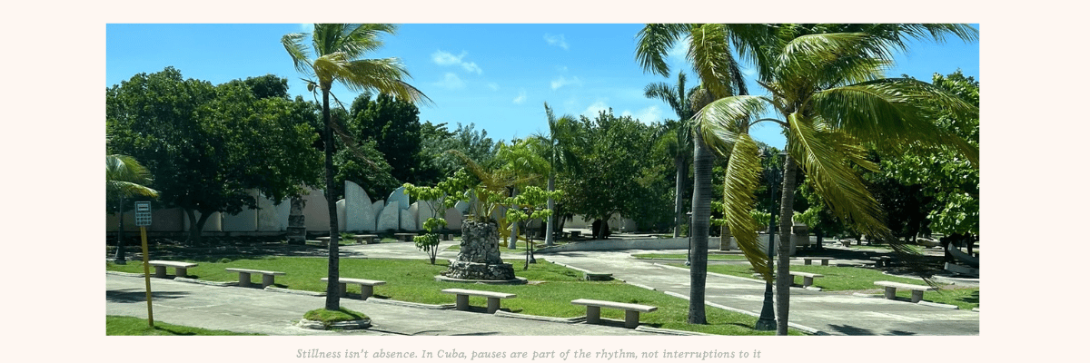 Quiet park with many shade trees and sculptures in city center