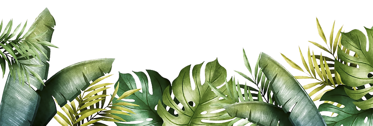 traitement-moustique-nice