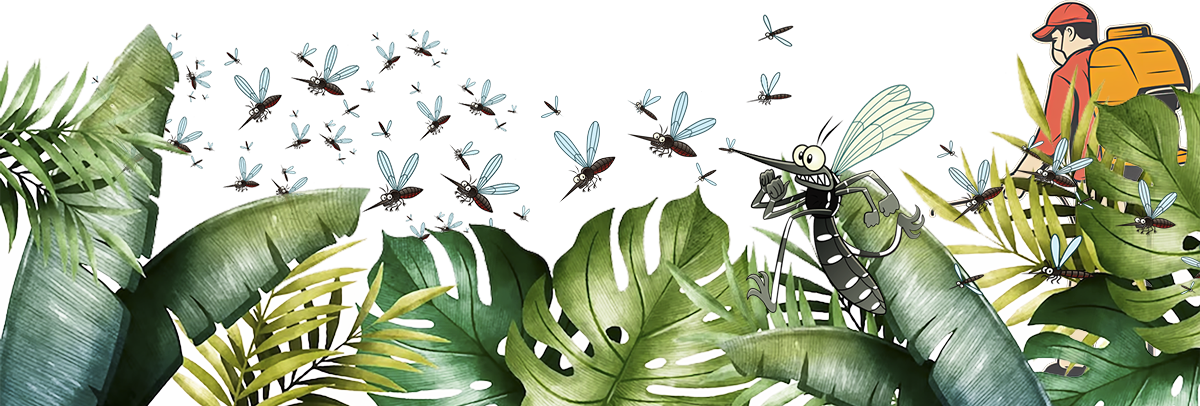 SuperMoustique en action