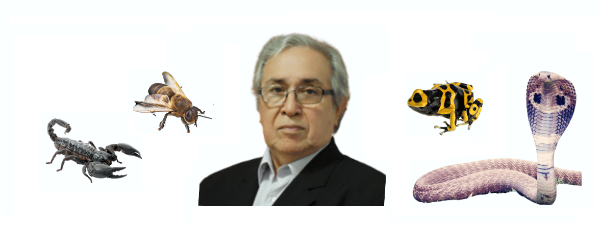 Profesor Dr Nestor Urtubey Argentina Apitoxina Veneno de Abejas