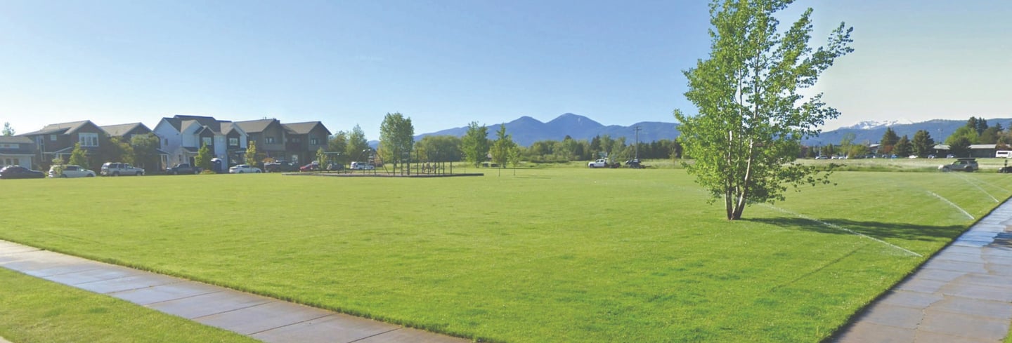 a grassy field with a tree and a small tree