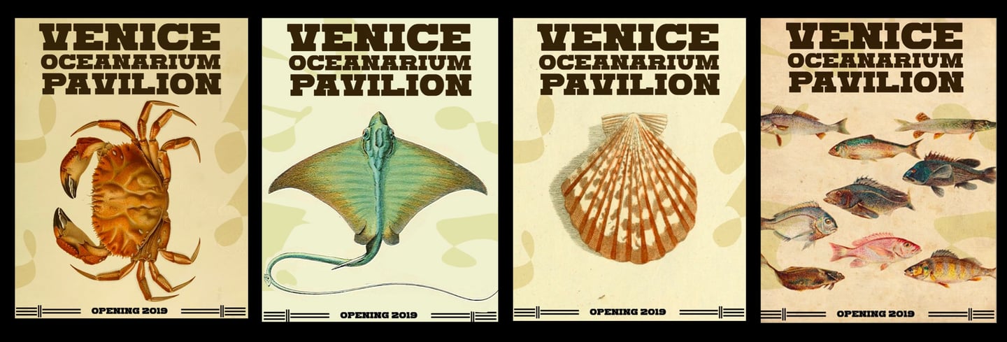 a series of four different types of fish and marine life