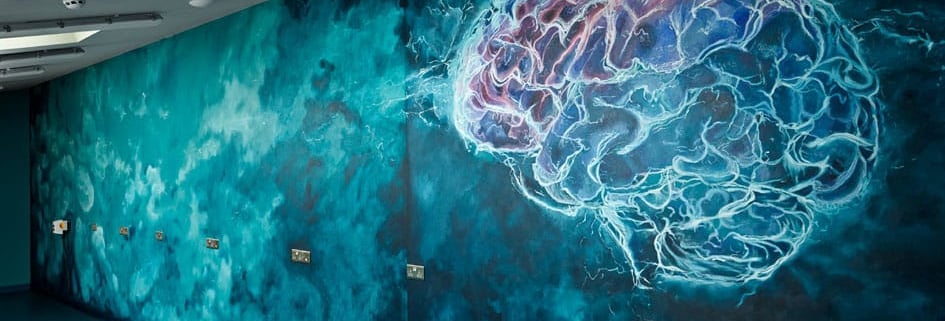 A vibrant brain logo spans the wall, embodying the spirit of creativity and continuous brainstorming in a Cambridgeshire R&D