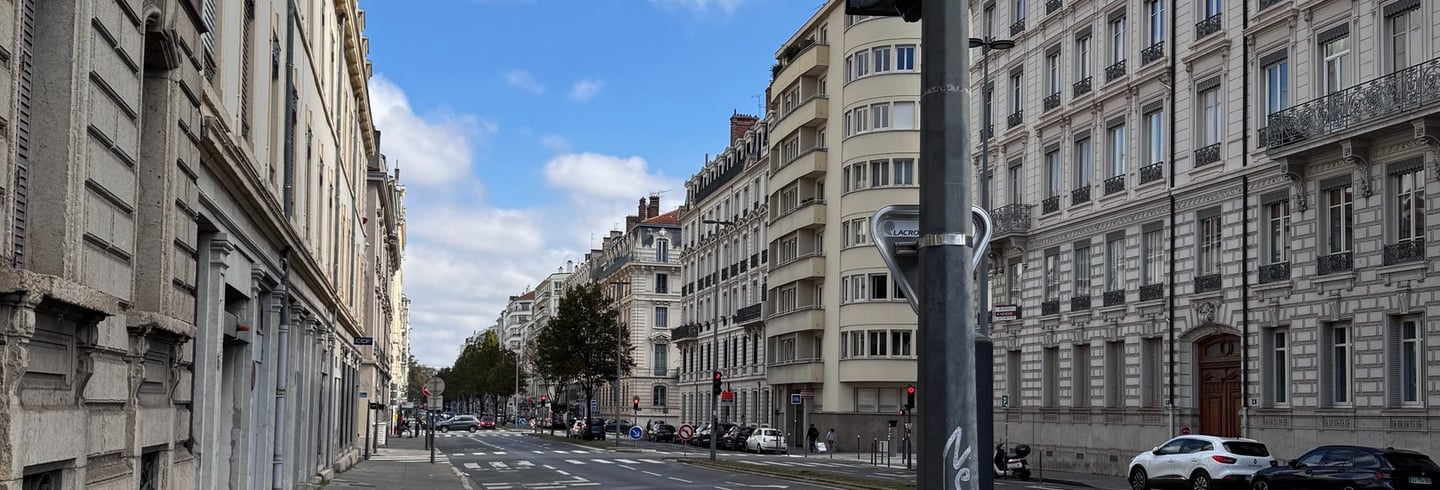 Rue Duquesne, Lyon. Si continuas por esta via, llegas al puente de Lattre de Tassigny, quien te lleva hasta el rio Saune