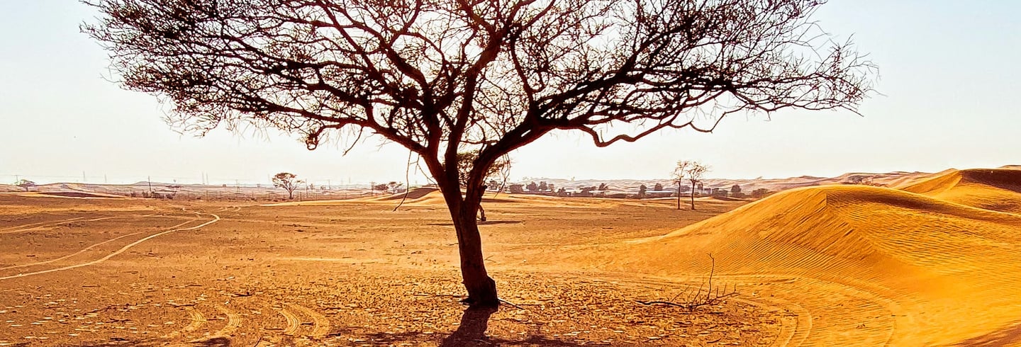 Foto van de woestijn in Abu Dhabi