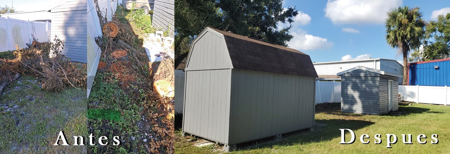 Before After Junk Removal Tampa