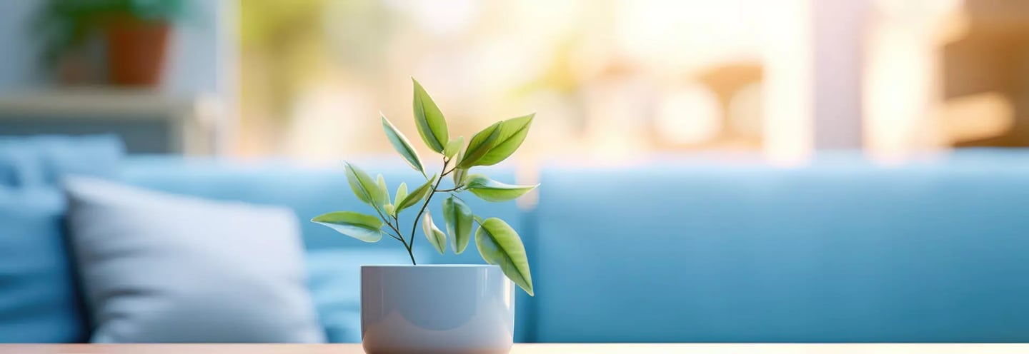 Veselība un labbūtība