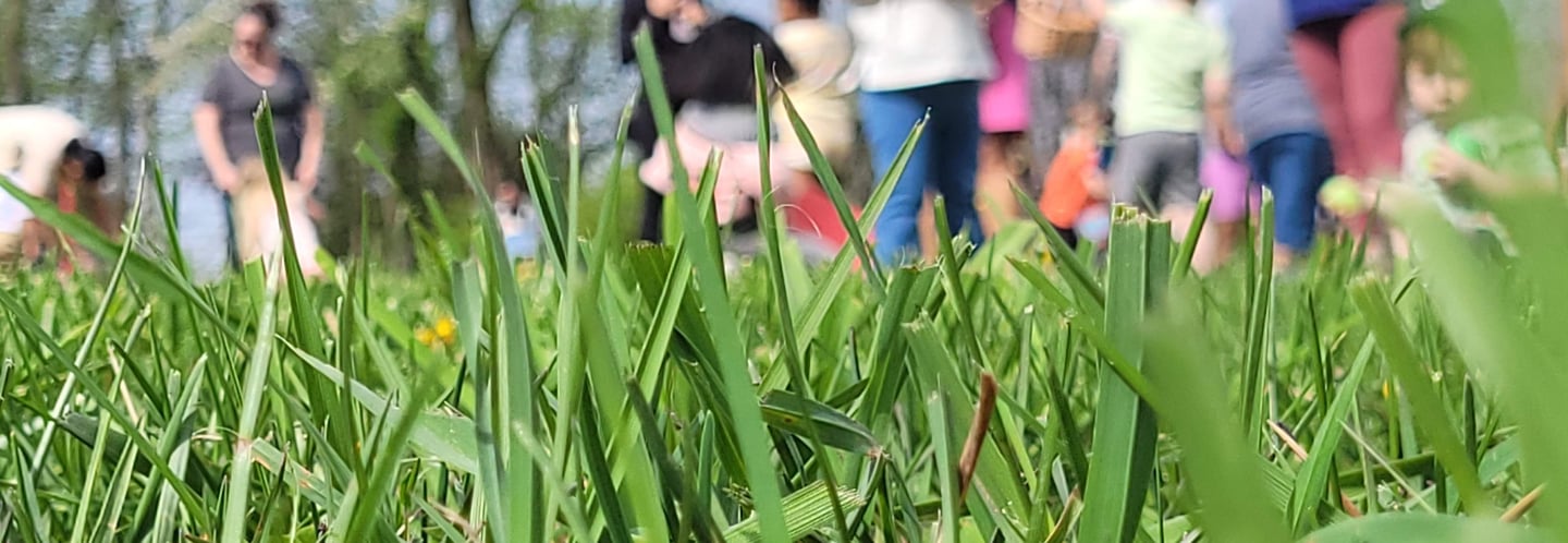 Closeup photo of grass during an Easter Egg Hunt at Crescent Hills Civic Association