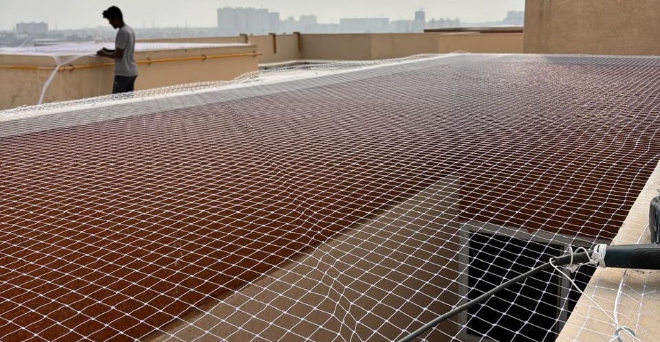 A close-up photo of anti-pigeon netting installed on a window in Adyar, showing the fine mesh and se