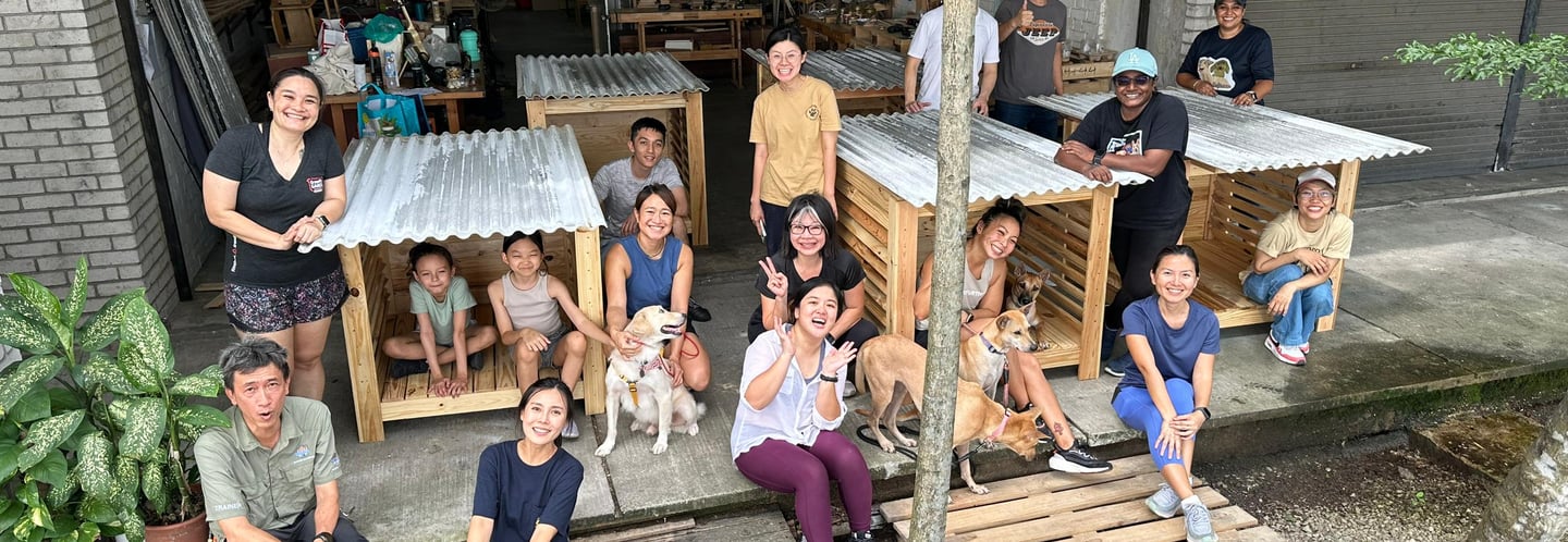 Posing for photo shoot with completed dog shelters