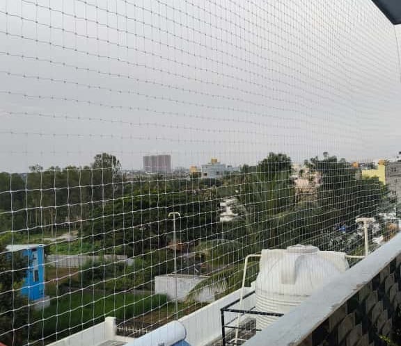 anti pigeon nets installation in bangalore