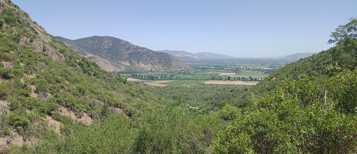 valle del tagua tagua, San Vicente, Cerros, naturaleza