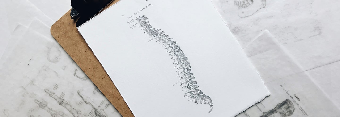 Columbia back chiropractor