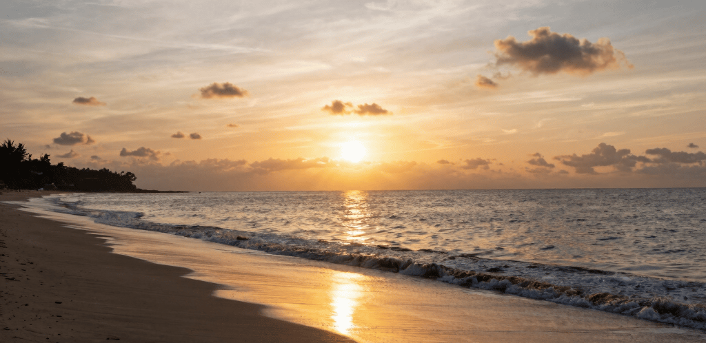 Cozy workspace with crochet hooks and handmade bags displayed.